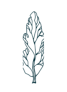 Pappelapapp Apérobar